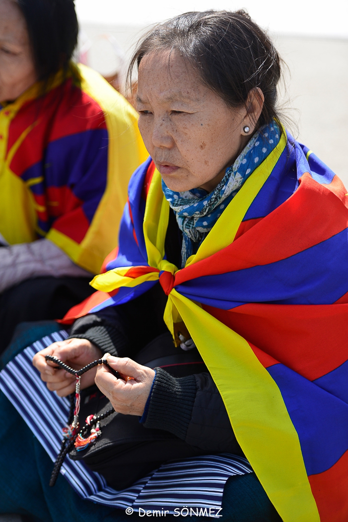 tibetienne-8870.jpg
