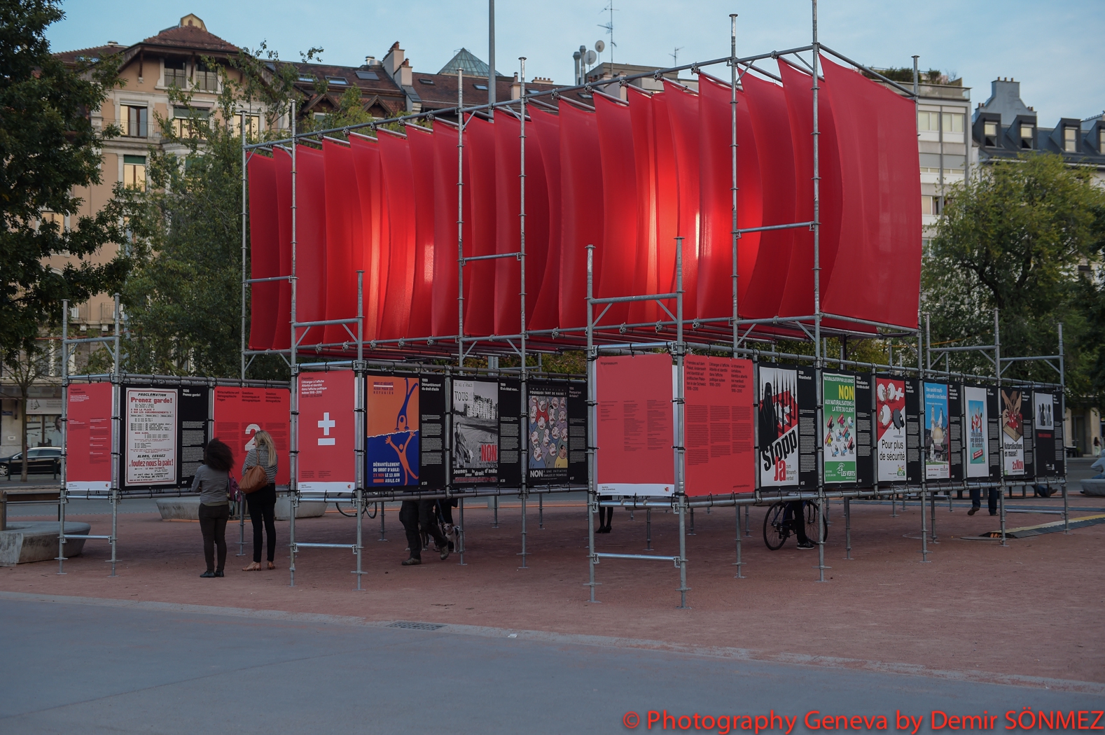 DSC_6674.jpg