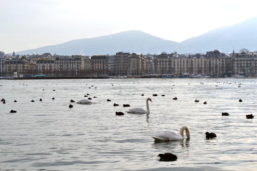 DSC_0074.JPG