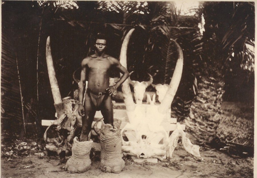 un-apres-midi-au-zoo-moehr-indigene-botte-elephant---le-fils-du-chef-bokwakonga-de-moma-archives-patrick-minder.jpg