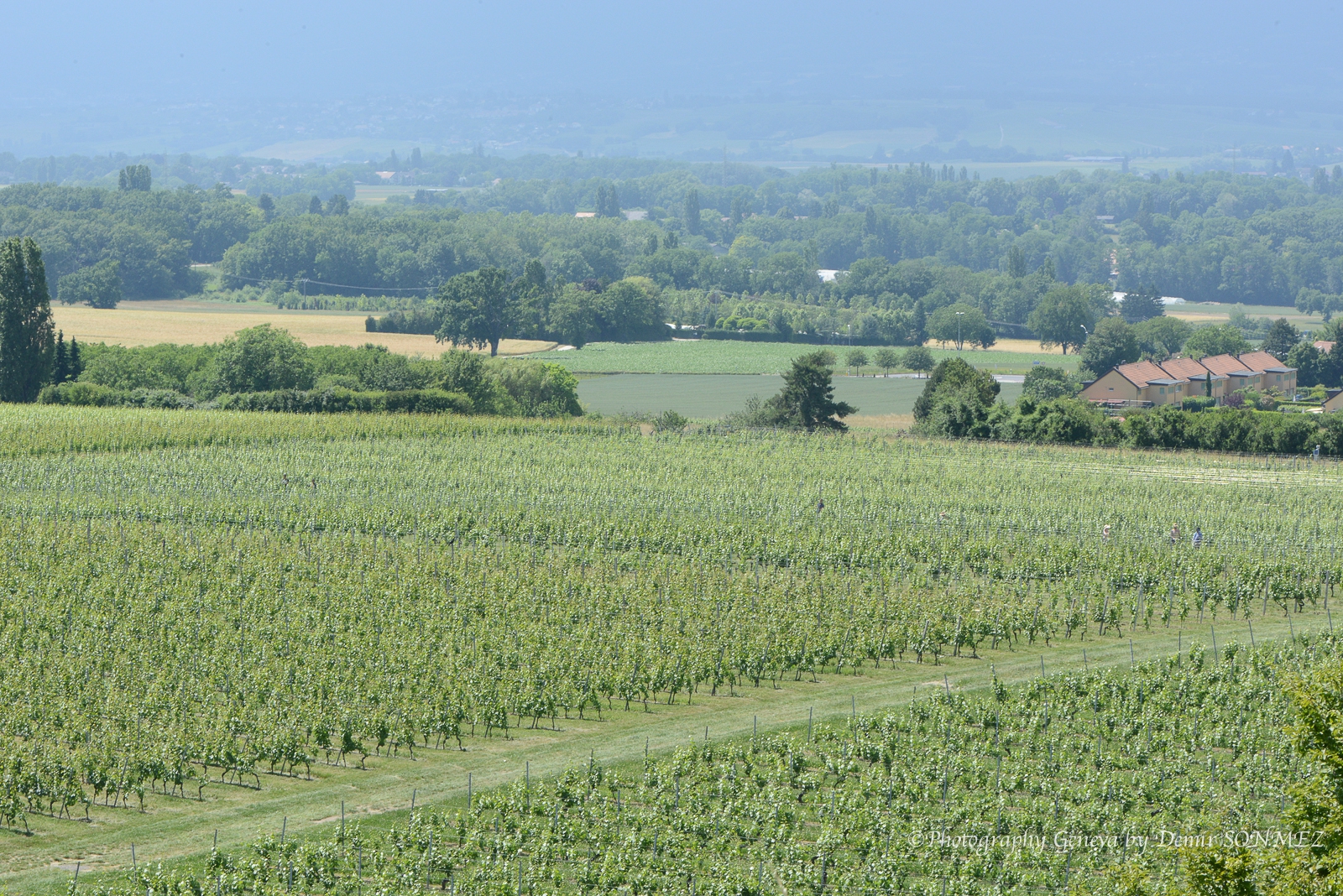 La Vigne des Nations consacrée à Green Cross International-7994.jpg