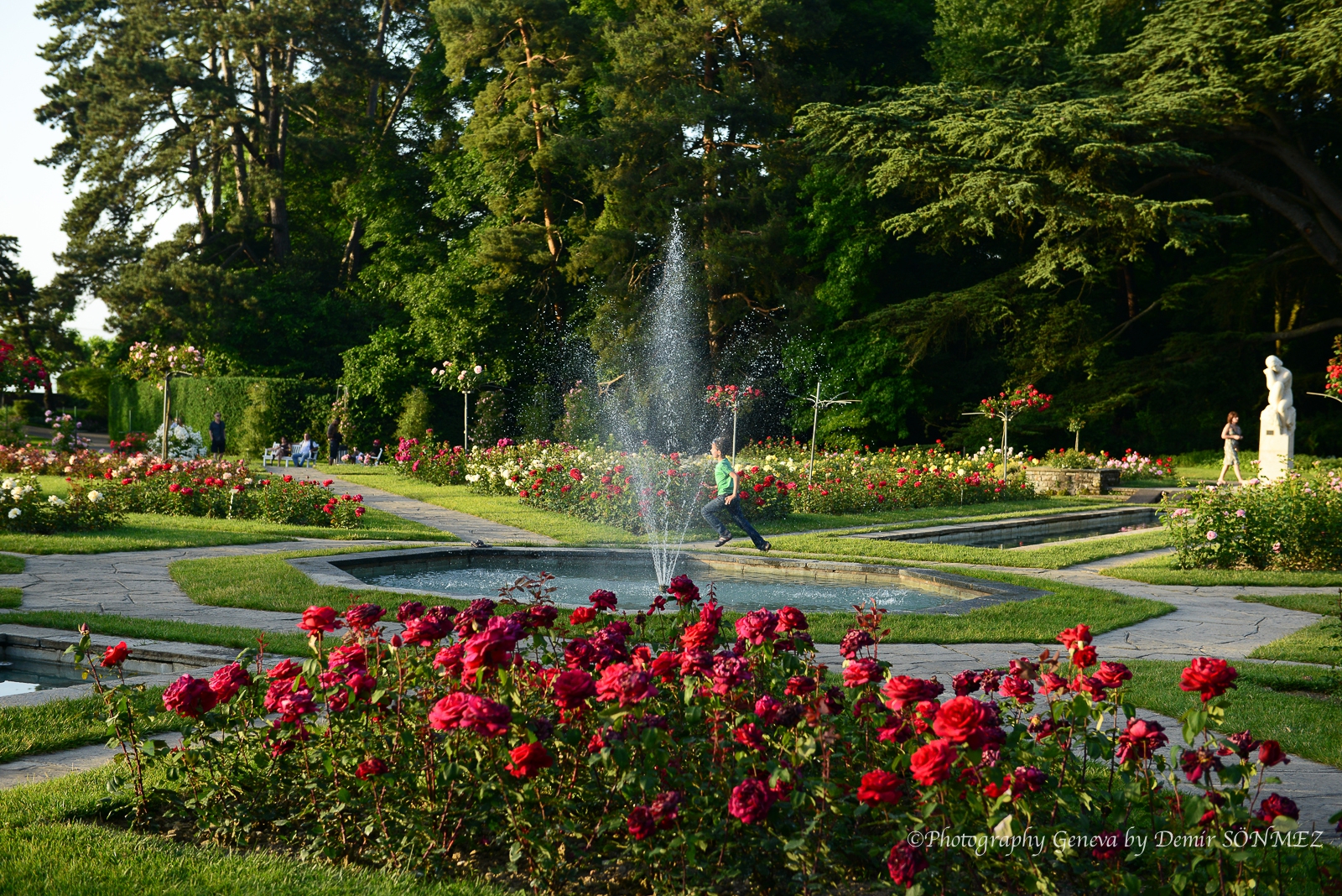 Les Roses du parc la grange à Genève-7255.jpg