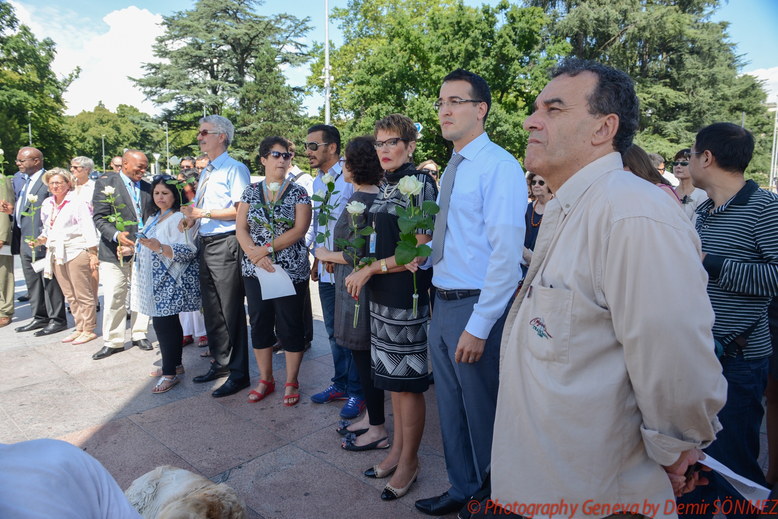 Cérémonie en l'honneur des fonctionnaires des Nations Unies tués a Gaza_-7841.jpg