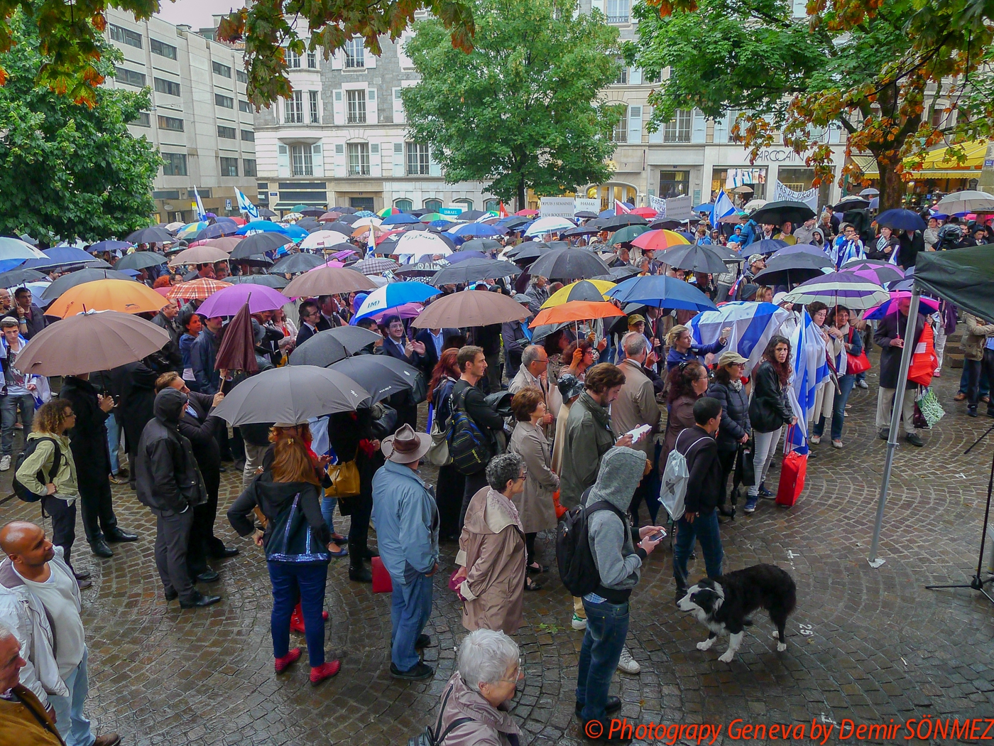 Rassemblement de soutien à Israël à Genève--1240969.jpg