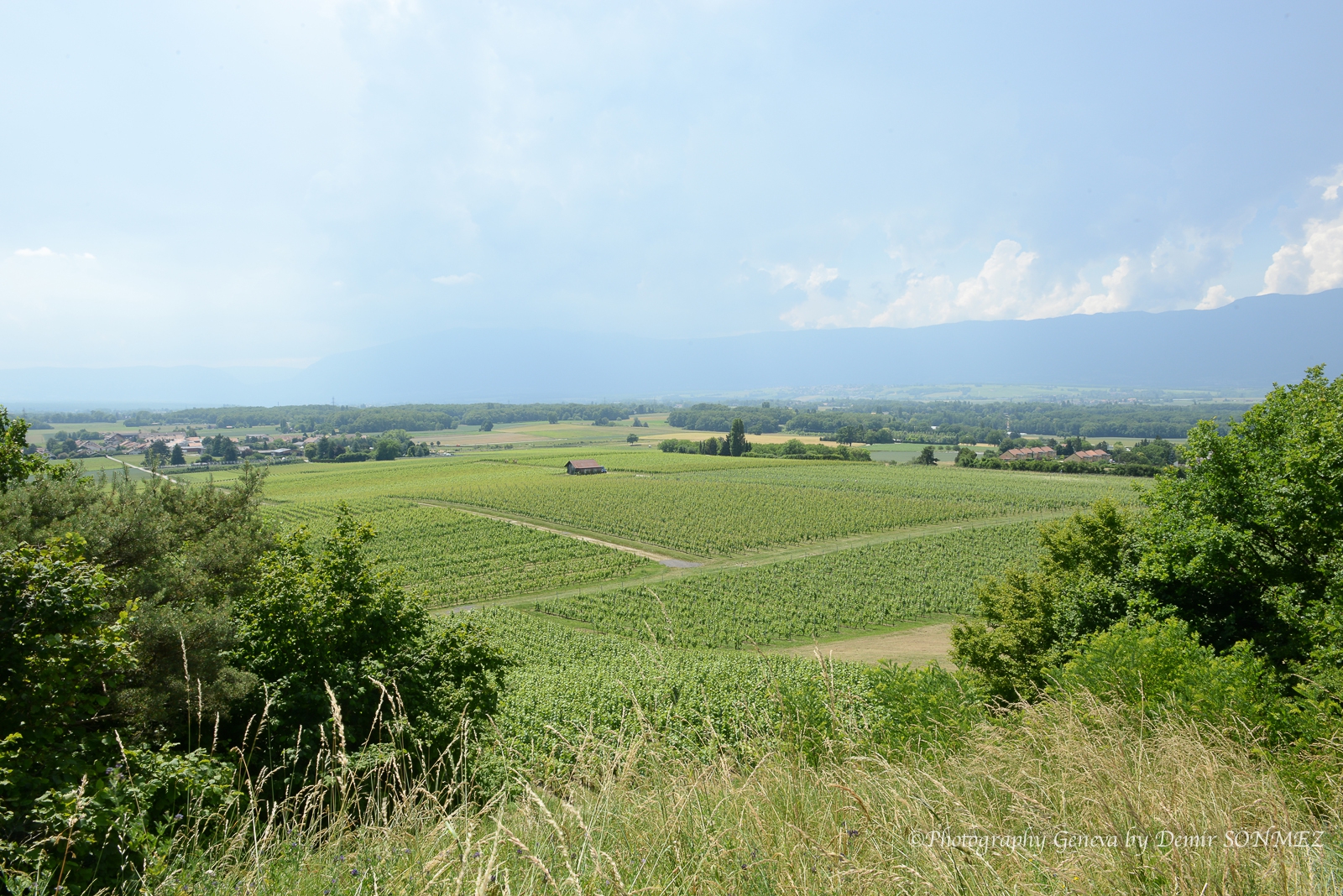 La Vigne des Nations consacrée à Green Cross International-7972.jpg