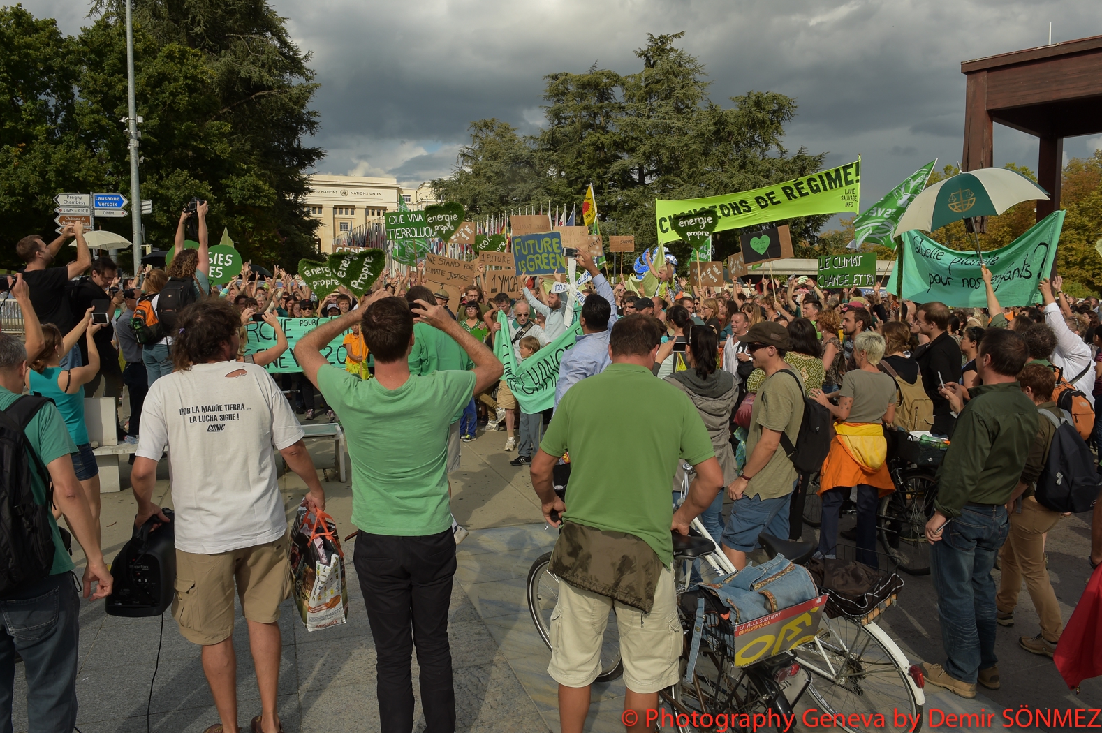 DSC_6274.jpg