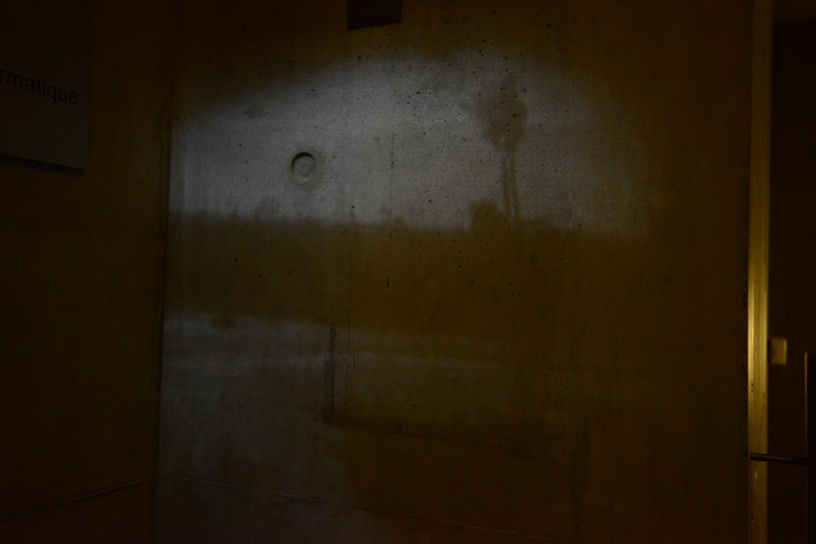DSC_9858.jpg