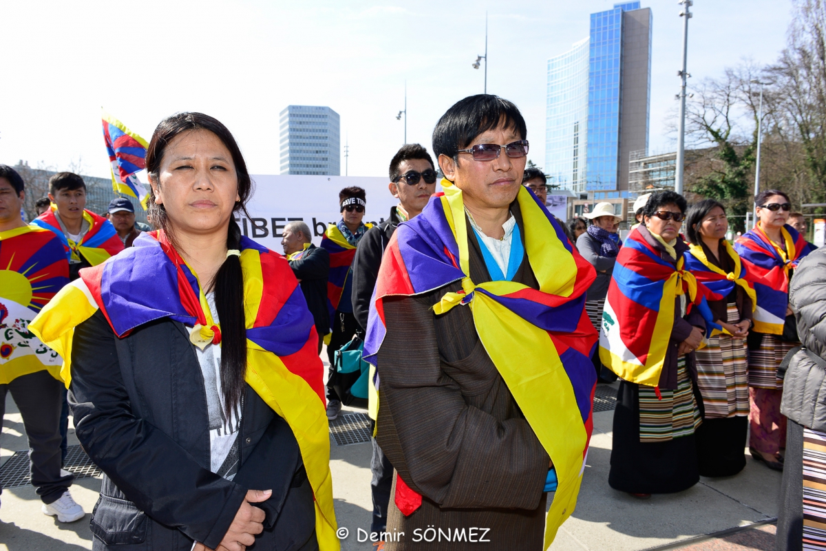 tibetienne-8705.jpg