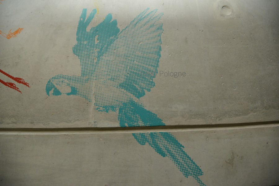 DSC_9891.jpg