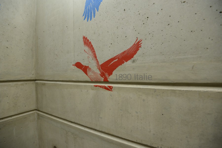 DSC_9925.jpg